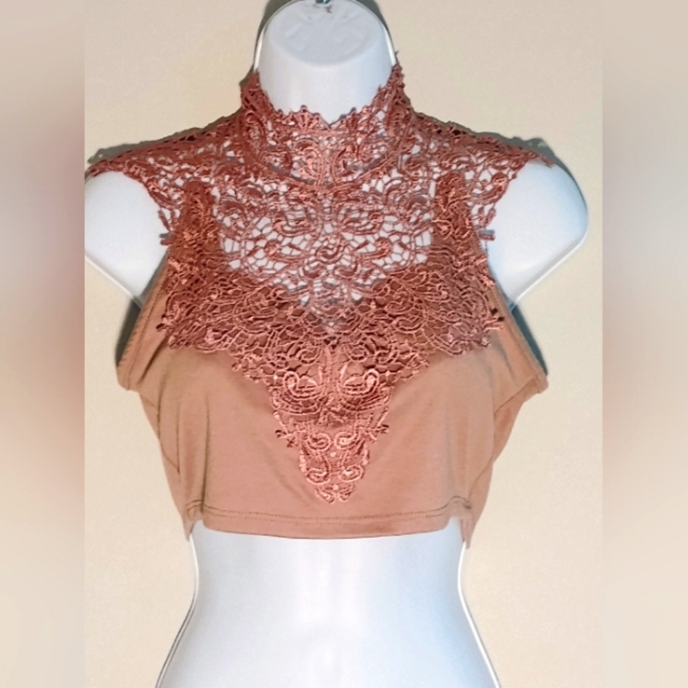 Blush Blend and Lace Crop Top